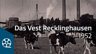 Das Vest Recklinghausen  Nachkriegszeit und Wirtschaftswunder 1952  FILMSCHÄTZE [upl. by Francine]