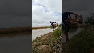 This Ancient Fishing Net Trick Catches More Fish Than Modern Methods [upl. by Rede]