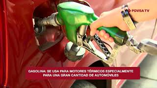 Sabias Que ¡Diésel vs Gasolina dos mundos diferentes ⛽️ [upl. by Nico]