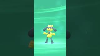 Il EST TOP EN SHINY   Pokémon Diamant Etincelant  Switch [upl. by Oilut]