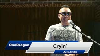 CryinAerosmith cover by OneDragon [upl. by Aniakudo]