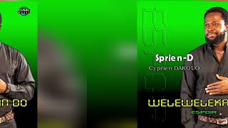 WELEWELEKAN DO  SprienD Cyprien DAKOUO DakMusic2024 [upl. by Eilyr]