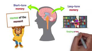 SCI102 Module 7 Regulation and The Nervous System [upl. by Zena]