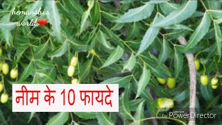 Neem benefits and uses in hindi  Wonder Herb Neem Benefits Uses  नीम के स्वास्थ्य फायदे [upl. by Annotahs582]