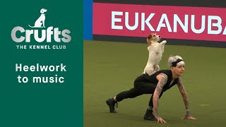 Heelwork To Music  Freestyle International Competition Part 1  Crufts 2023 [upl. by Meghann]