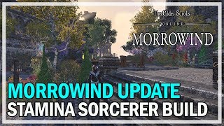 Stamina Sorcerer PvE Build Morrowind Update  The Elder Scrolls Online [upl. by Kreis]