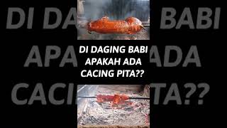 DI DAGING BABI APAKAH ADA CACING PITA [upl. by Amii312]