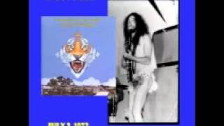 Ted Nugent amp The Amboy Dukes  Baby Please Dont Go  Live at El Mocambo Club [upl. by Thisbe376]