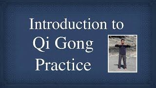 Qigong Tapping by Master Tan [upl. by Yerg952]