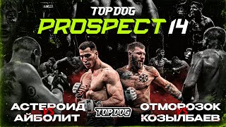 TOP DOG PROSPECT 14 Дмитров  Астероид VS Айболит Отморозок VS Козылбаев [upl. by Ahsinoj264]