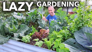 Companion Planting the LAZY Way to Garden [upl. by Ceciley]