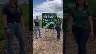 Great Lakes Grain Crop Tour 2024 with Shawna Terpstra and Melyse Renwick [upl. by Ahsas]