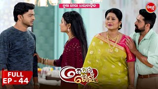 କେଦାର ଗୌରୀ  Kedar Gouri  Full Episode  44  New Odia Mega Serial on Sidharth TV 830PM [upl. by Neimad]