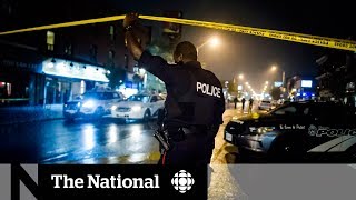 Record year for murders in Toronto [upl. by Adnorrehs]