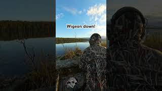 Duck hunting wigeon down fyp viralvideo shorts subscribe duck hunting duckhunting [upl. by Aramat89]