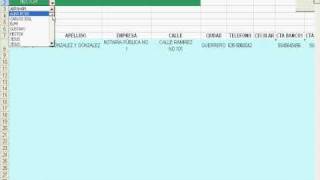 directorio de contactos en excel [upl. by Ezarra]