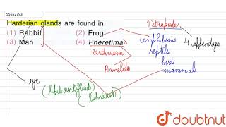 Harderian glands are found in [upl. by Hnahc]