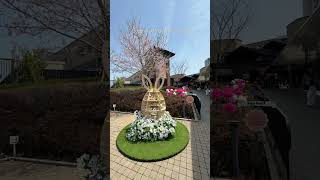 Gotemba Premium Outlet Spring 2024 premiumoutlet shoppinginjapan [upl. by Acimat]