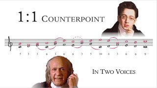 How to Compose 11 Counterpoint  Tonal Voice Leading 1 [upl. by Cristionna725]