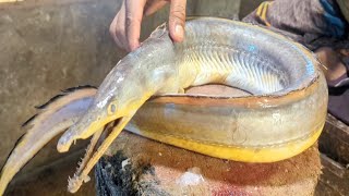 Ginat Monster Yellow Eel Fish Cutting amp Skinning Skills Live In Bangladesh Fish Market [upl. by Akienat]