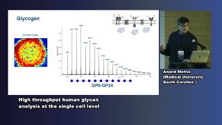 Prof Anand Mehta  High throughput human glycan analysis at the single cell level [upl. by Osswald]