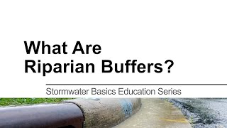 What is a Riparian Buffer Stormwater Basics Education Series [upl. by Upali]