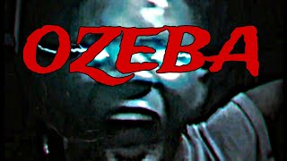 OZEBA Movie 2024 [upl. by Ahsitruc459]