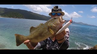 Big Coral Trout Land Based Fishing Island hopping Queensland [upl. by Ethelbert738]