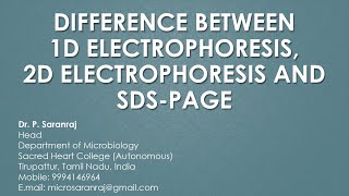 Difference Between OneDimensional Electrophoresis TwoDimensional Electrophoresis and SDSPAGE [upl. by Htebazileyram]