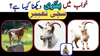 khwab mein bakri dekhna kaisa hai  khwab mein bakra dekhne ki tabeer  goat dream meaning Rohaniros [upl. by Atter]