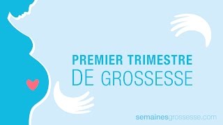 Premier trimestre de grossesse  La grossesse trimestre par trimestre [upl. by Kunin]