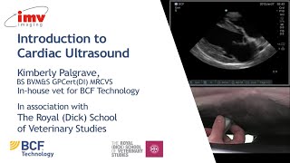 IMV imaging cardiac ultrasound video 1  Introduction to performing an echo [upl. by Hallerson]