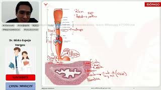 PREGUNTAS ENAM REPASO DE PATOLOGÍAS ESOFÁGICAS  GASTROENTEROLOGÍA  VILLAMEDIC [upl. by Randolph]