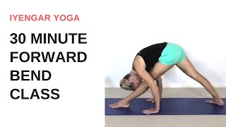 Forward bend yoga class  Iyengar yoga [upl. by Eolanda]