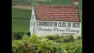 Gevrey Chambertin Grand Cru Premier Cru Villages [upl. by Idaline]