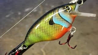 Making a CrankBait [upl. by Baudoin]