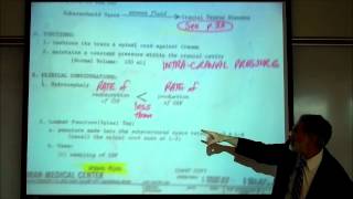 The Production amp Circulation of Cerebrospinal Fluid CSF by Professor Fink [upl. by Odnomyar]