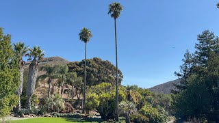 Leaning Pine Arboretum in San Luis Obispo California [upl. by Kahler]