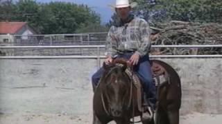 Reining Training Your Horse to Spin pt2 [upl. by Dunaville]