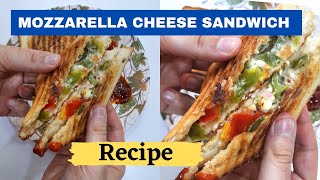 Mozzarella Cheese Sandwich Recipe in 1 minute 🥪😋  Foodmunchiezz  Shorts YTShorts [upl. by Kahle]