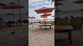 Oceanica beachclub Philippines travel [upl. by Frederic]