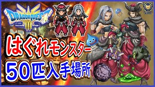 DQ3 HD2D版 はぐれモンスター50匹の入手場所！魔物使い最強特技ビーストモード入手！ドラクエ3リメイク 攻略【メイルス】 [upl. by Zolly]