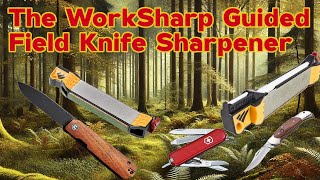 The Best Knife Sharpener [upl. by Nomae]