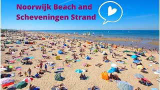 Noordwijk and Scheveningen beach summer of 2020  Netherlands [upl. by Jereld]