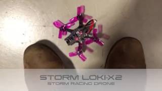 LokiX2 Storm Racing Drone indoor Flight  HeliPalcom [upl. by Ylrrad169]