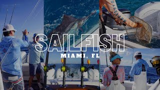 Catching The Legendary Sailfish In Miami [upl. by Iman]