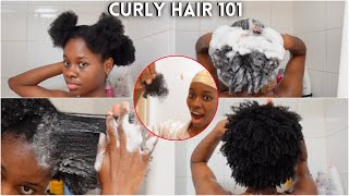 How To PROPERLY Wash 4C Hair  No Matting No tangles [upl. by Lokim]