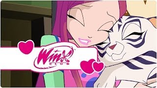 Winx Club  Temporada 4 Episódio 14  7 O Número da Perfeição clip3 [upl. by Henarat]