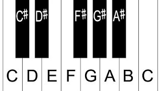 Piano Lesson 2 How To Label Piano Keys Part 2  Piano Keyboard Layout [upl. by Eanad]