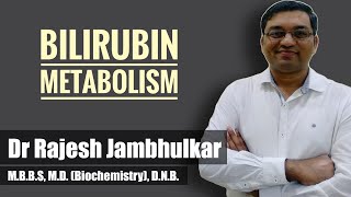 Bilirubin metabolism  Heme catabolism by Dr Rajesh Jambhulkar [upl. by Dasi]